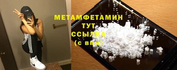 шишки Гусев