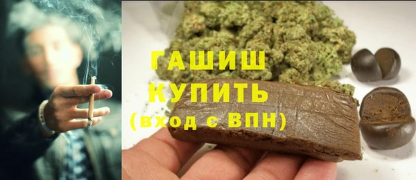 шишки Гусев