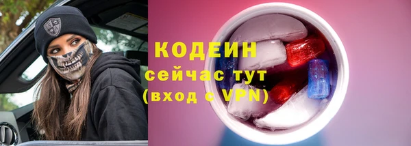 шишки Гусев