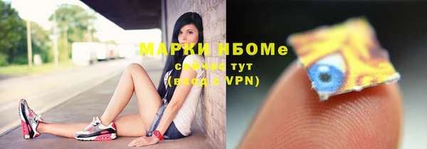 шишки Гусев