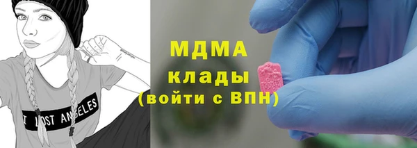 шишки Гусев