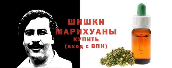 шишки Гусев