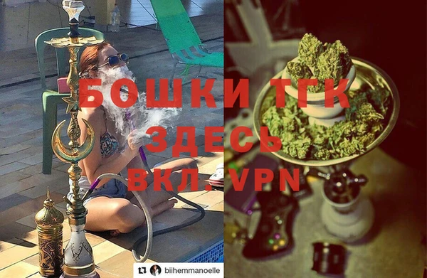 шишки Гусев