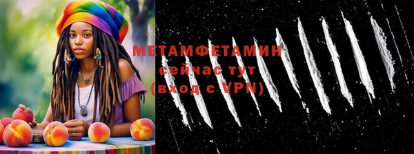 шишки Гусев