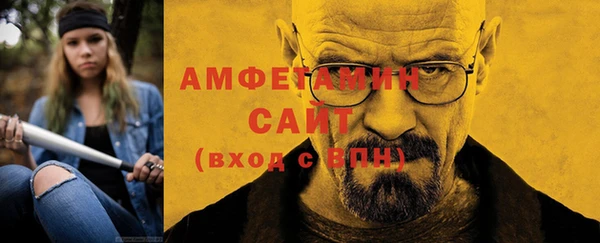 шишки Гусев